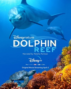 Watch free Dolphin Reef hd online