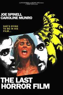 Watch free The Last Horror Film hd online