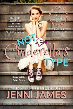 Watch free Not Cinderella's Type hd online