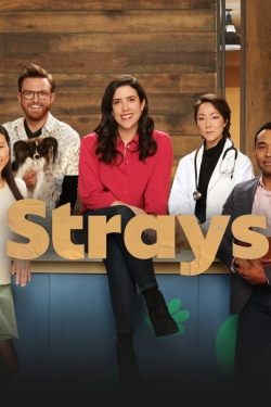 Watch free Strays hd online