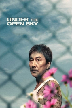 Watch free Under the Open Sky hd online