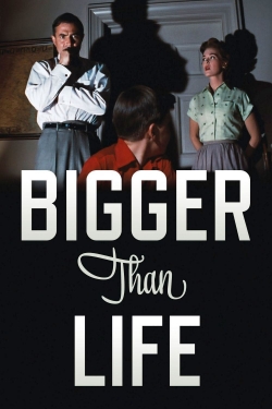 Watch free Bigger Than Life hd online