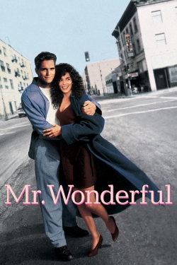 Watch free Mr. Wonderful hd online