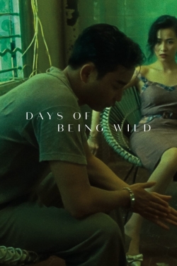 Watch free Days of Being Wild hd online