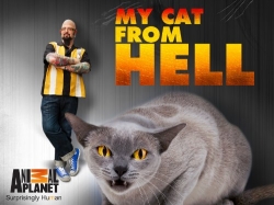 Watch free My Cat from Hell hd online