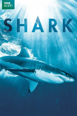 Watch free Shark hd online