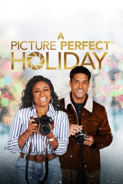 Watch free A Picture Perfect Holiday hd online