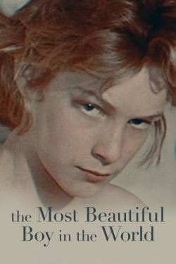 Watch free The Most Beautiful Boy in the World hd online