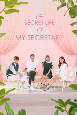 Watch free The Secret Life of My Secretary hd online