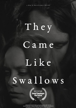 Watch free They Came Like Swallows hd online