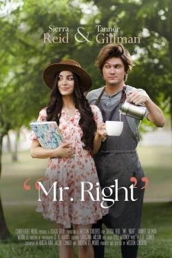 Watch free Mr. Right hd online