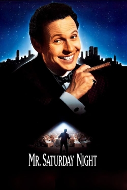 Watch free Mr. Saturday Night hd online