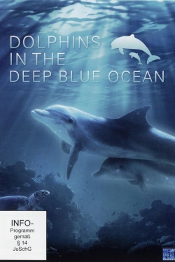 Watch free Dolphins in the Deep Blue Ocean hd online