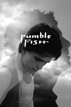 Watch free Rumble Fish hd online