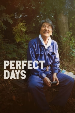 Watch free Perfect Days hd online