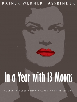 Watch free In a Year with 13 Moons hd online