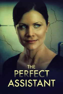 Watch free The Perfect Assistant hd online