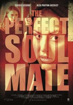 Watch free The Perfect Soulmate hd online