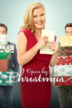 Watch free Open by Christmas hd online